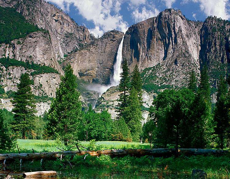 Yosemite NP